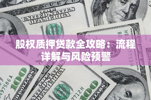 武汉股权质押贷款全攻略：流程详解与风险预警