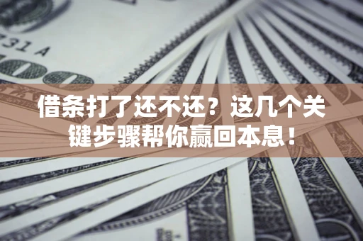 武汉借条打了还不还？这几个关键步骤帮你赢回本息！