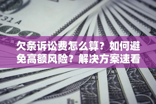 武汉欠条诉讼费怎么算？如何避免高额风险？解决方案速看！