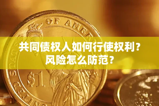 武汉共同债权人如何行使权利？风险怎么防范？
