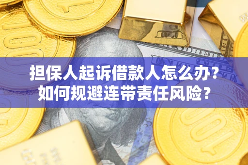 武汉担保人起诉借款人怎么办？如何规避连带责任风险？