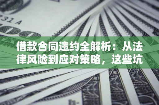 武汉借款合同违约全解析：从法律风险到应对策略，这些坑别再踩！