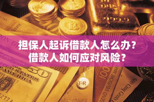 武汉担保人起诉借款人怎么办？借款人如何应对风险？