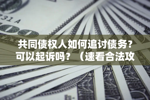 武汉共同债权人如何追讨债务？可以起诉吗？（速看合法攻略）