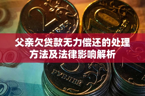 武汉父亲欠贷款无力偿还的处理方法及法律影响解析