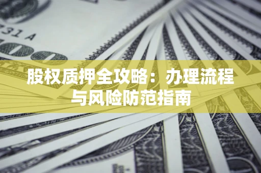 武汉股权质押全攻略：办理流程与风险防范指南