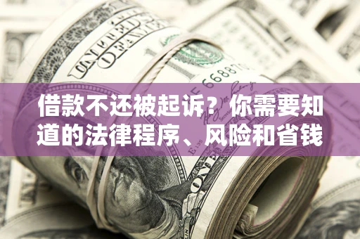 武汉借款不还被起诉？你需要知道的法律程序、风险和省钱技巧